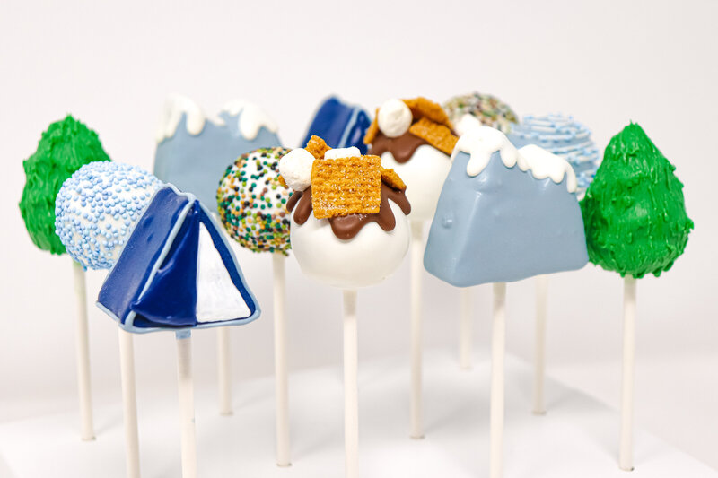 bakery - cakes - cake pops -north dakota -304