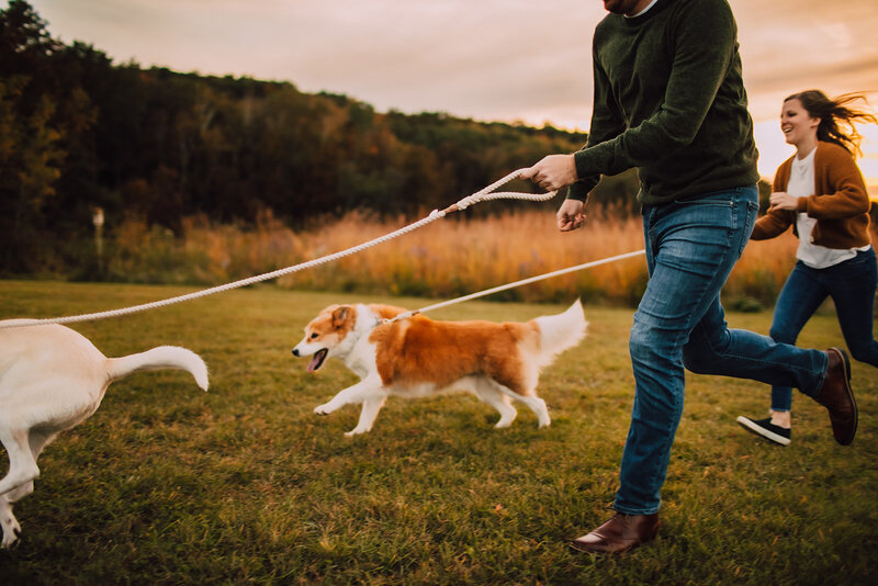 Leashed dogs run with their owners