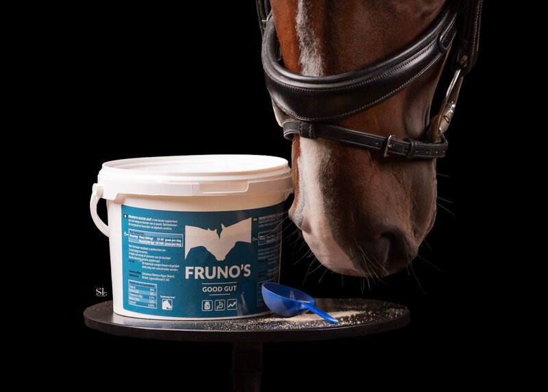 Alternatief_omeprazol_paard