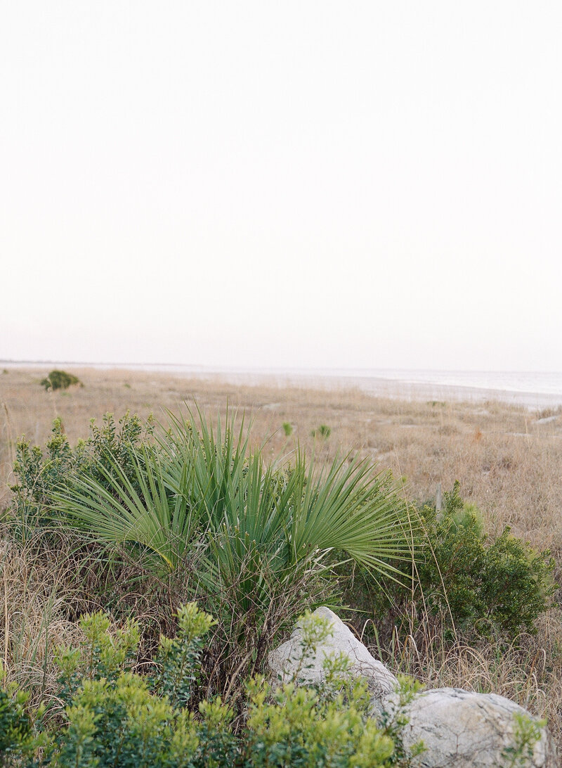 LEEBERN(542of1009)