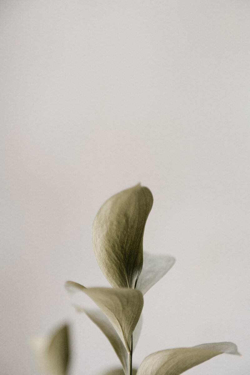 MoyoFreePhoto14