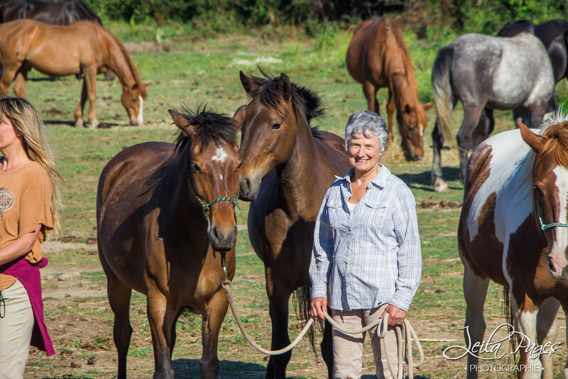 Photo d'Anne Mathieu aux côtés de chevaux