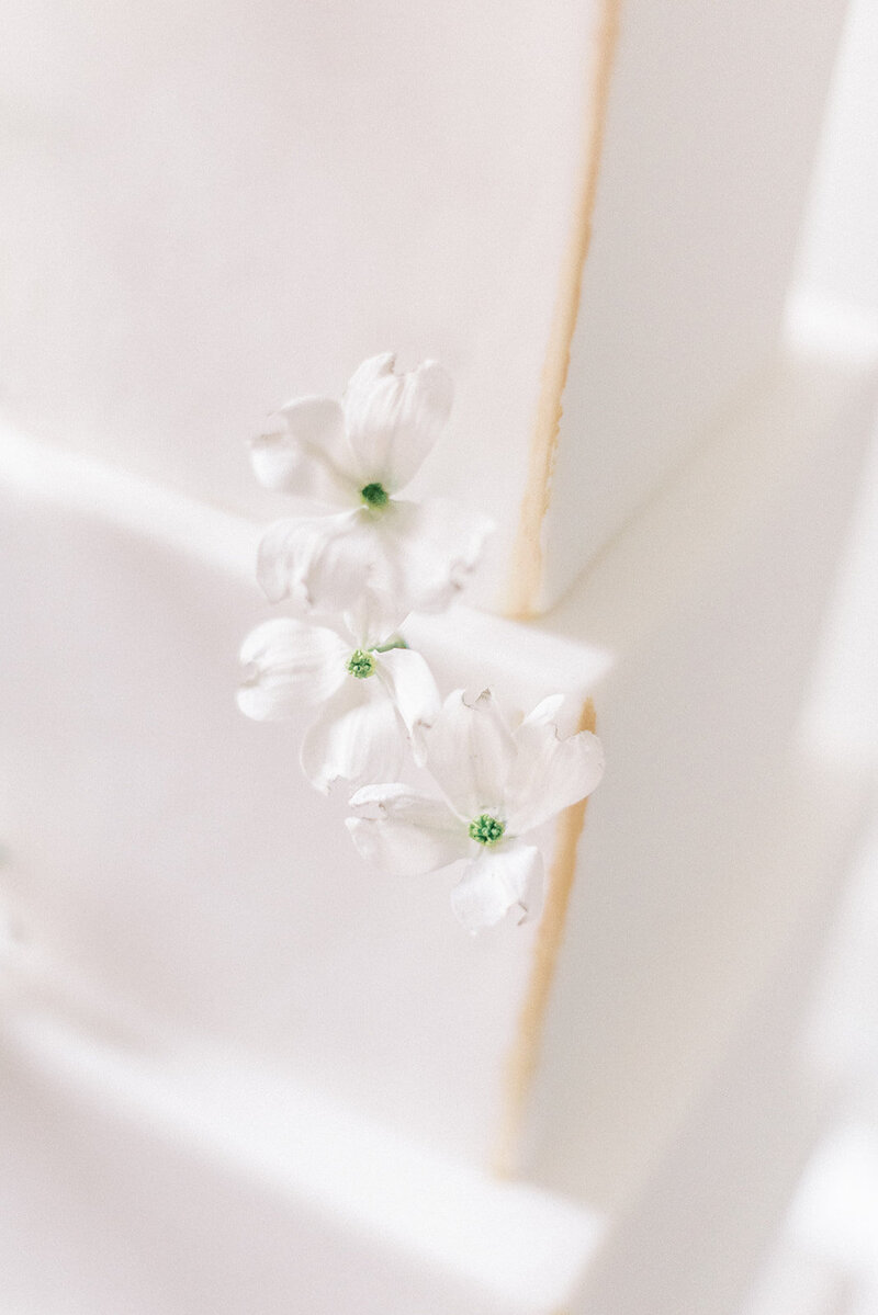 MonAnnie Cakes_Cristina IlaoCIP_9620