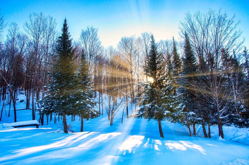 wintery wonderland landscape with the sun rays peeking through the trees