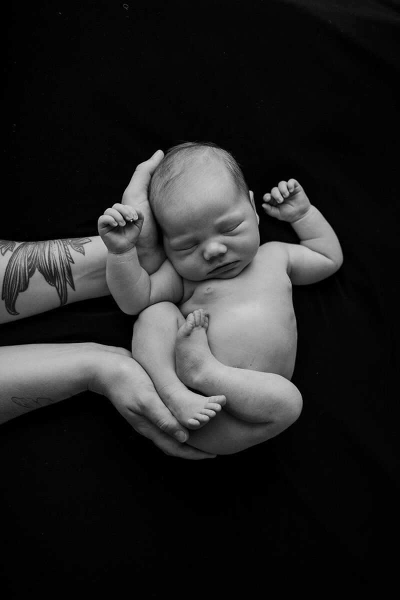Marla - newborn studio-10_websize