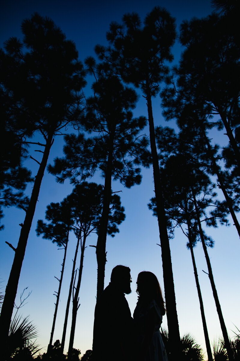 Pinecrest-Engagement-Session-Tiny-House-Photo-16