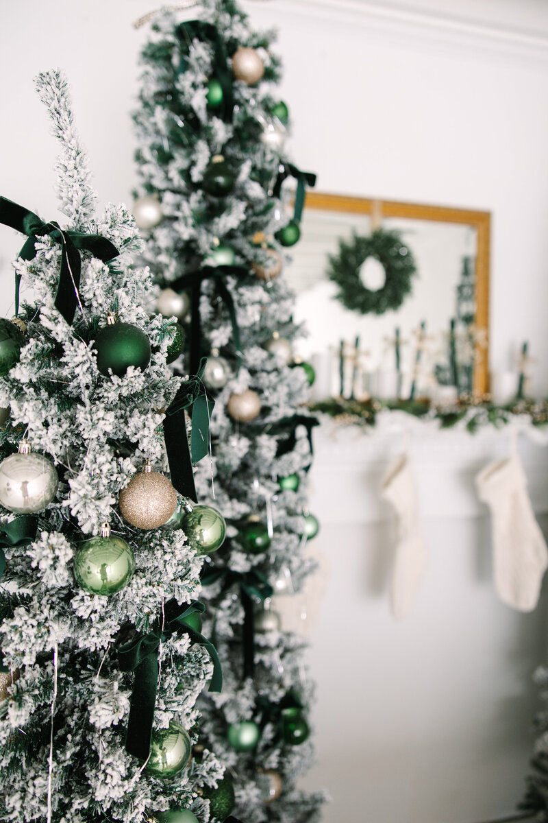 AC_Goodman_Photo_ChristmasMini25_Promo-22