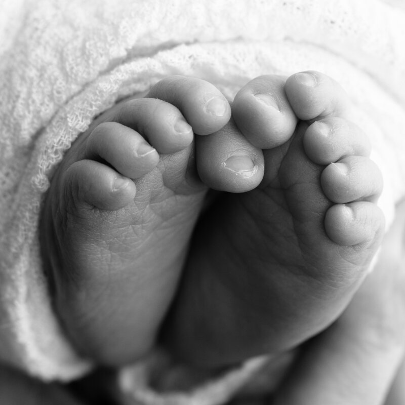 Flaky, wrinkled, real—this newborn toes macro embraces the beauty of authentic beginnings.