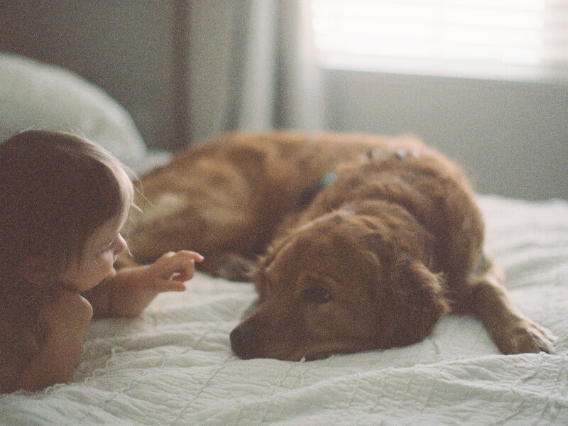 Britni Dean's daughter and dog on a bed