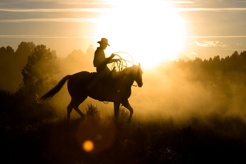 wenatchee-horse-photographer-yellowstone-horse-photos (3)
