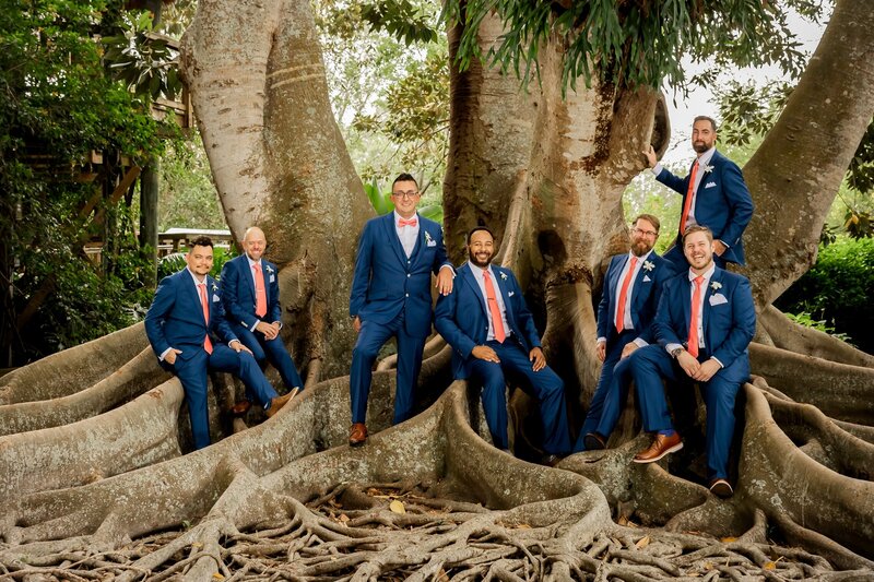 Groom and groomsman on the tree trunks of huge tree at Selby Gardens