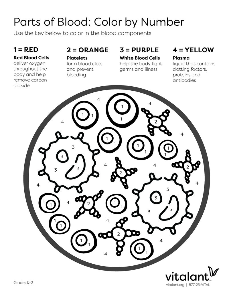 K-8 School Program Activity Book_Page_2