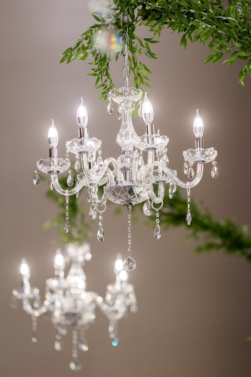 Etienne-Anna-Wedding-723