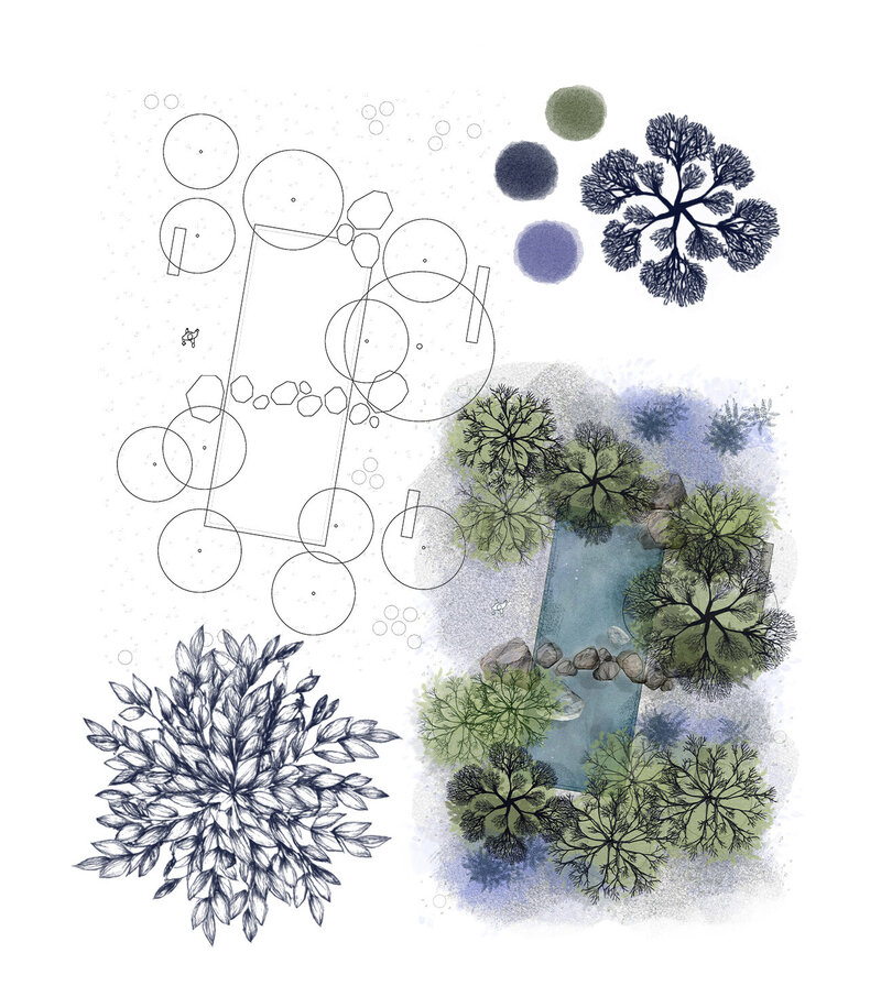02 Taller de Plano Ilustrado Imagen 01