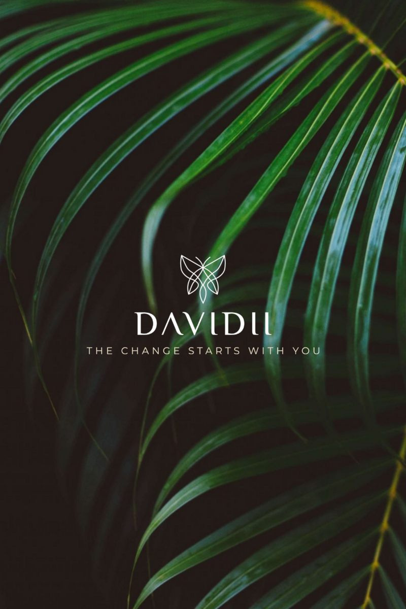 Davidii-webshop-logo