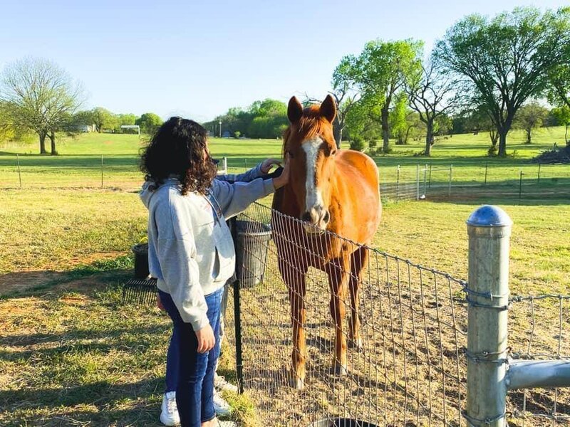 North Texas horse birthday party