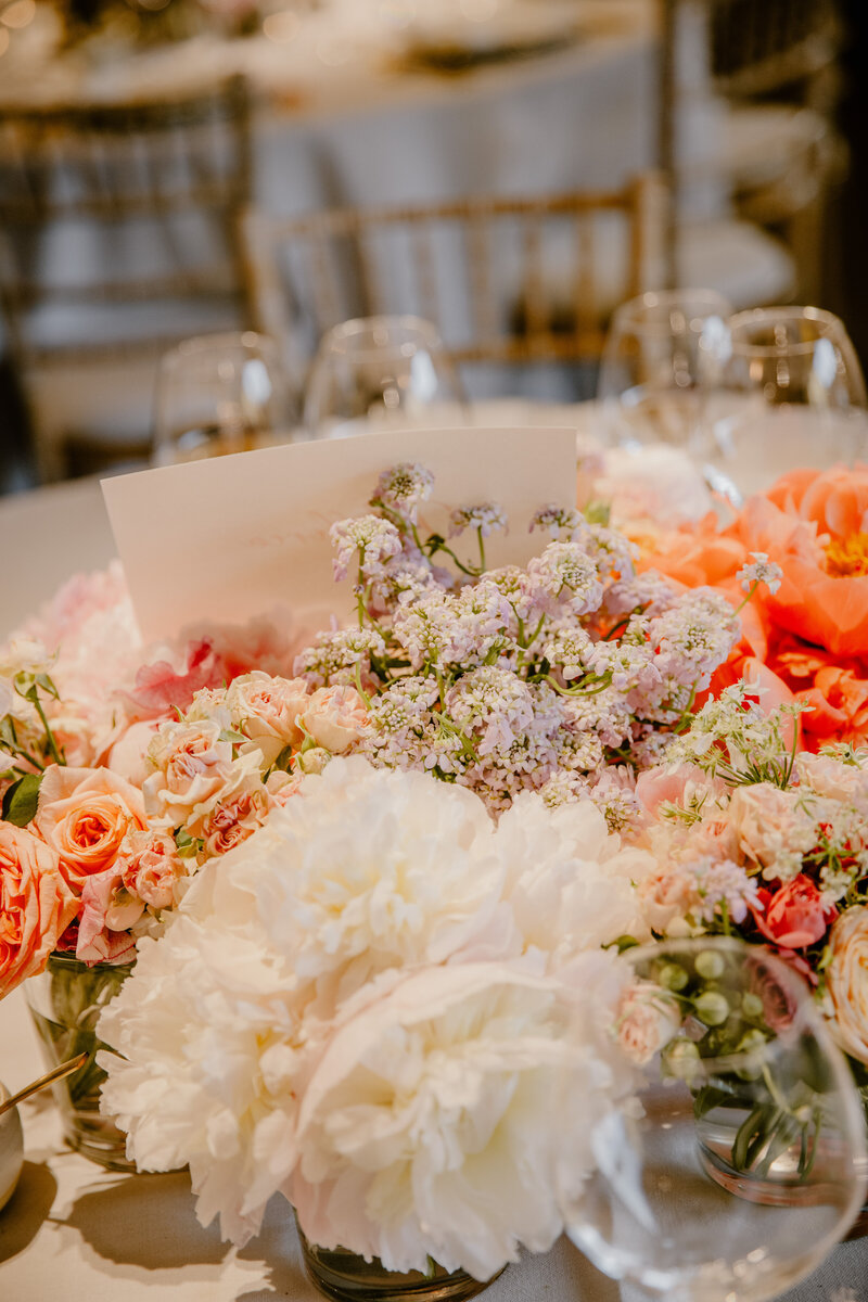 334_2S0A3209_Raïs_De_Weirdt_L_Raïs_De_Weirdt_L