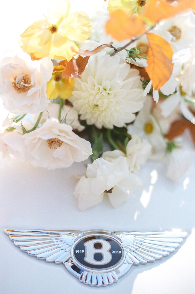 Anna_Grinets_Photography_Paris_Minnesota_Wedding_Photographer_235