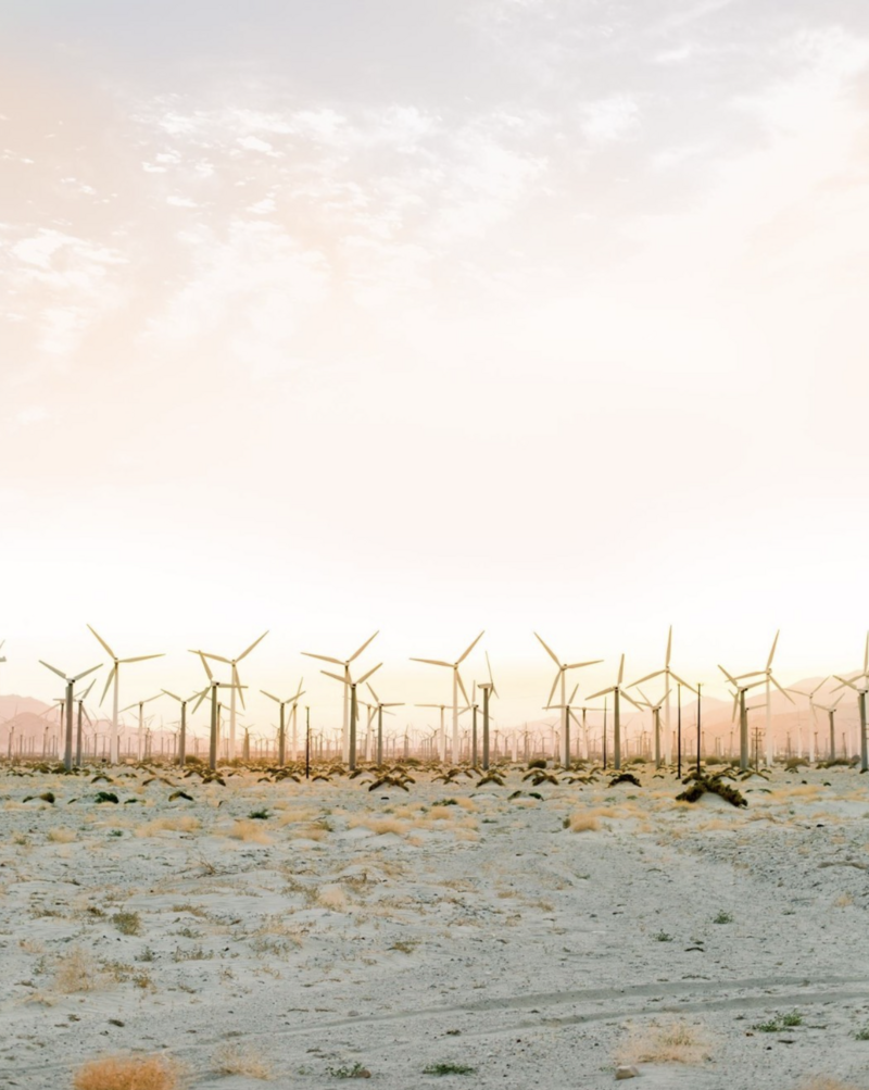 Wedding photography workshop at sunset in the desert