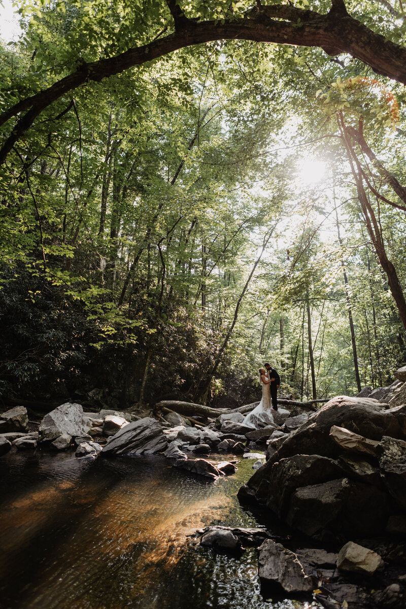 Bride and groom in forest at Spruce Flats Falls for Smoky Mountain elopement