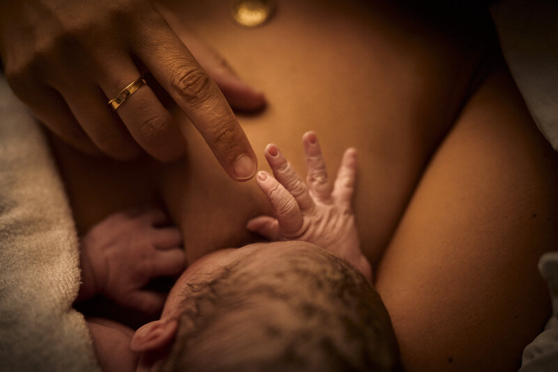 homebirth birth photography newborn baby breastfeeding