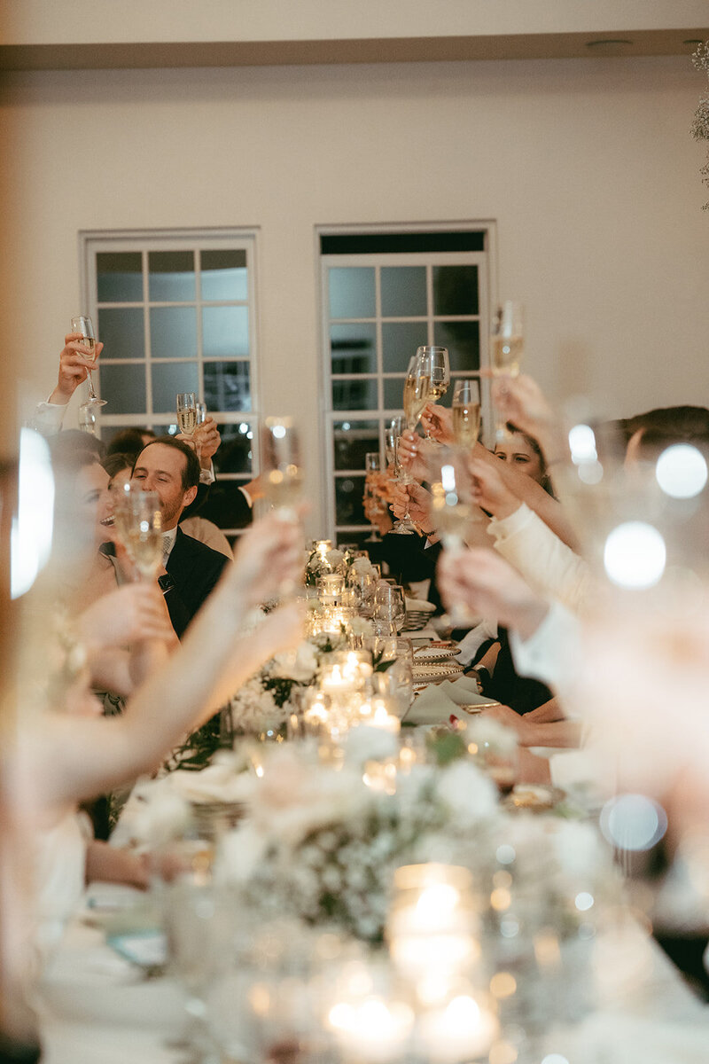 wedding guests making a toast