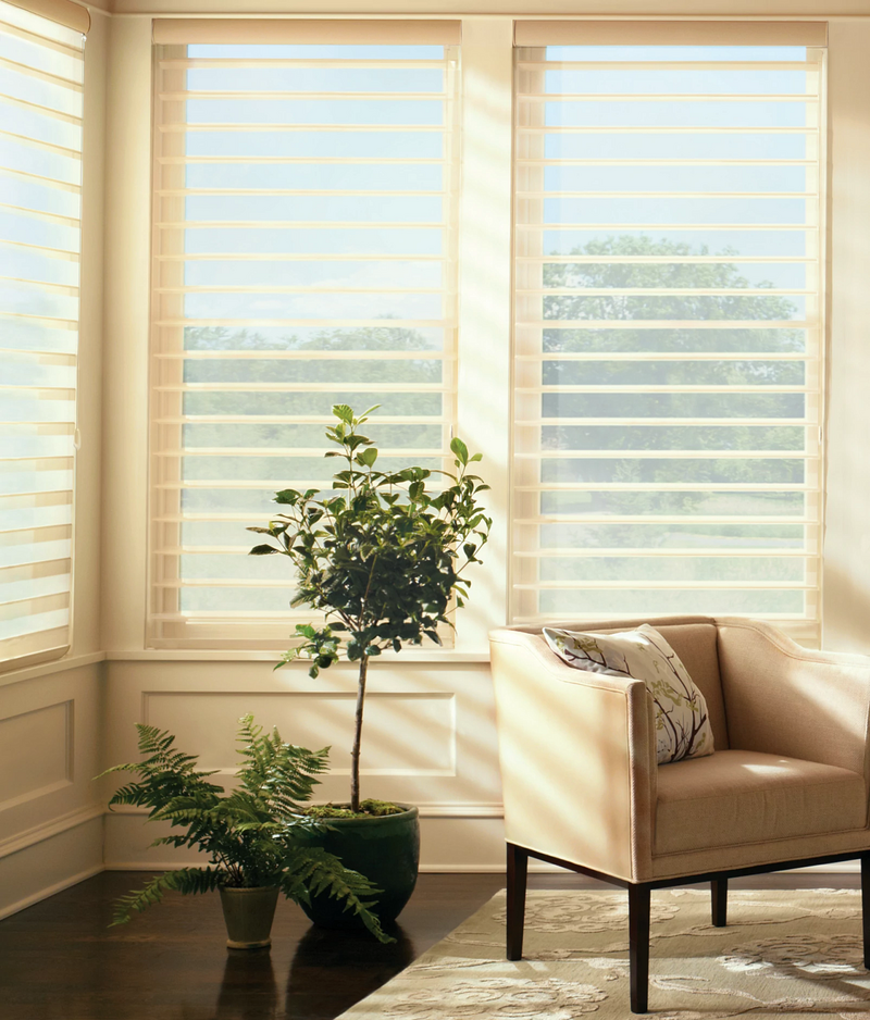 Living space window blinds