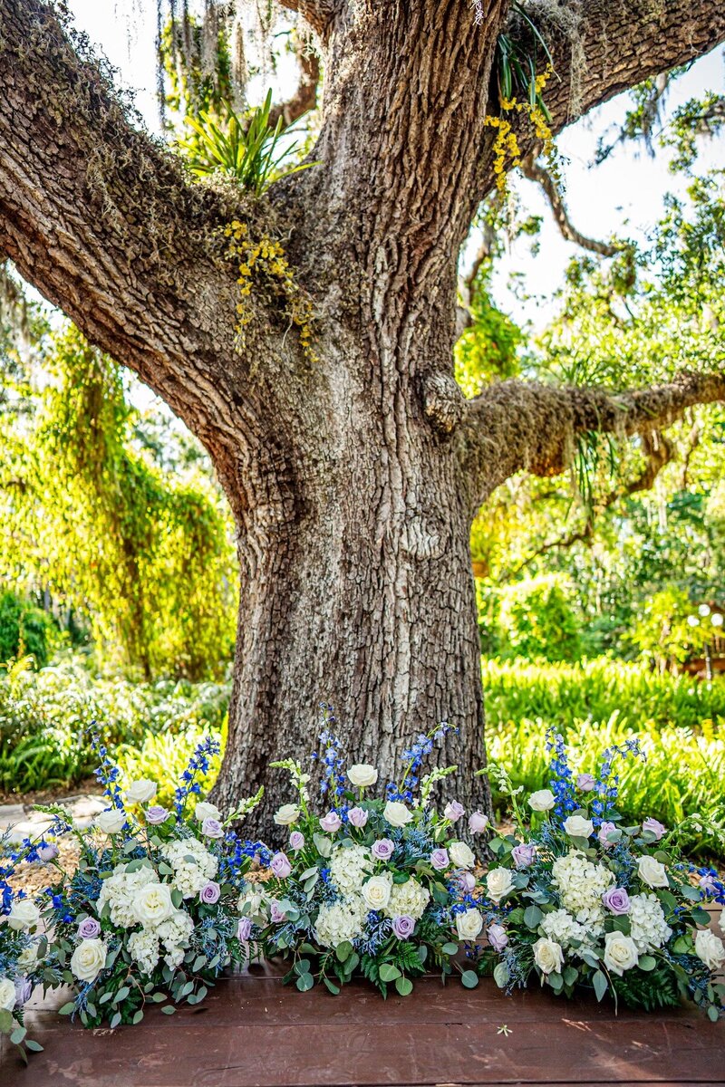 Del-Favero-Oasis-wedding-tampa-maddness-photography-06517