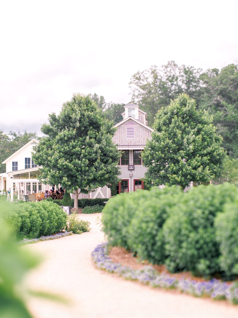 Pippin Hill Wedding Charlottesville Virginia Photographer_19