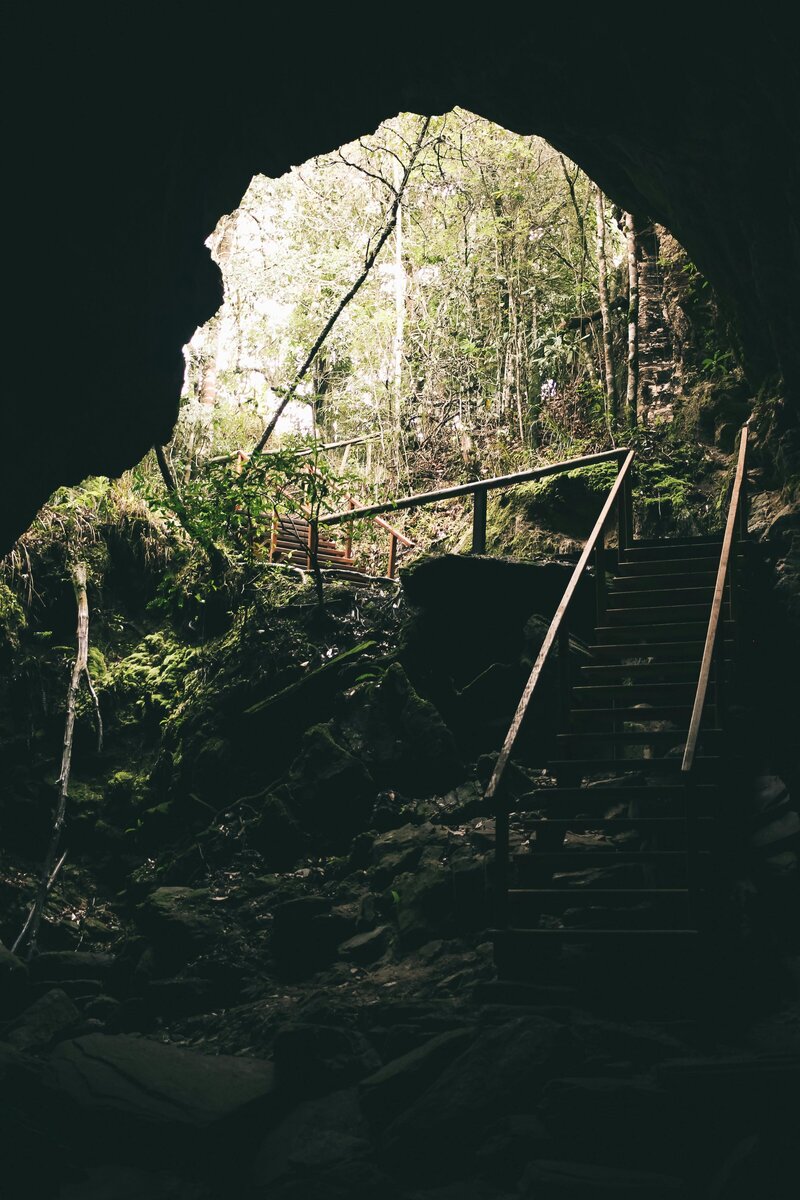 Image from inside a cave that has stairs leading out into a forrest