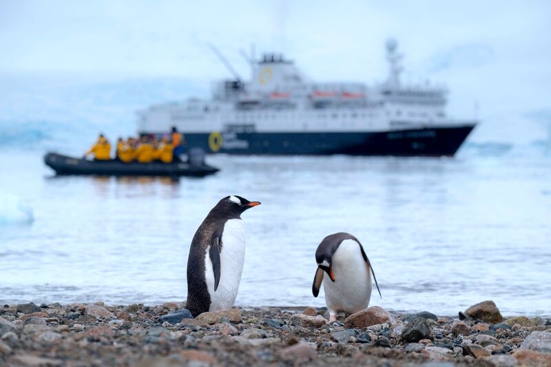 Two penguins sitting in the sand with the water and a ship in the distant background