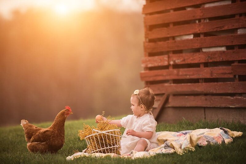chicken11