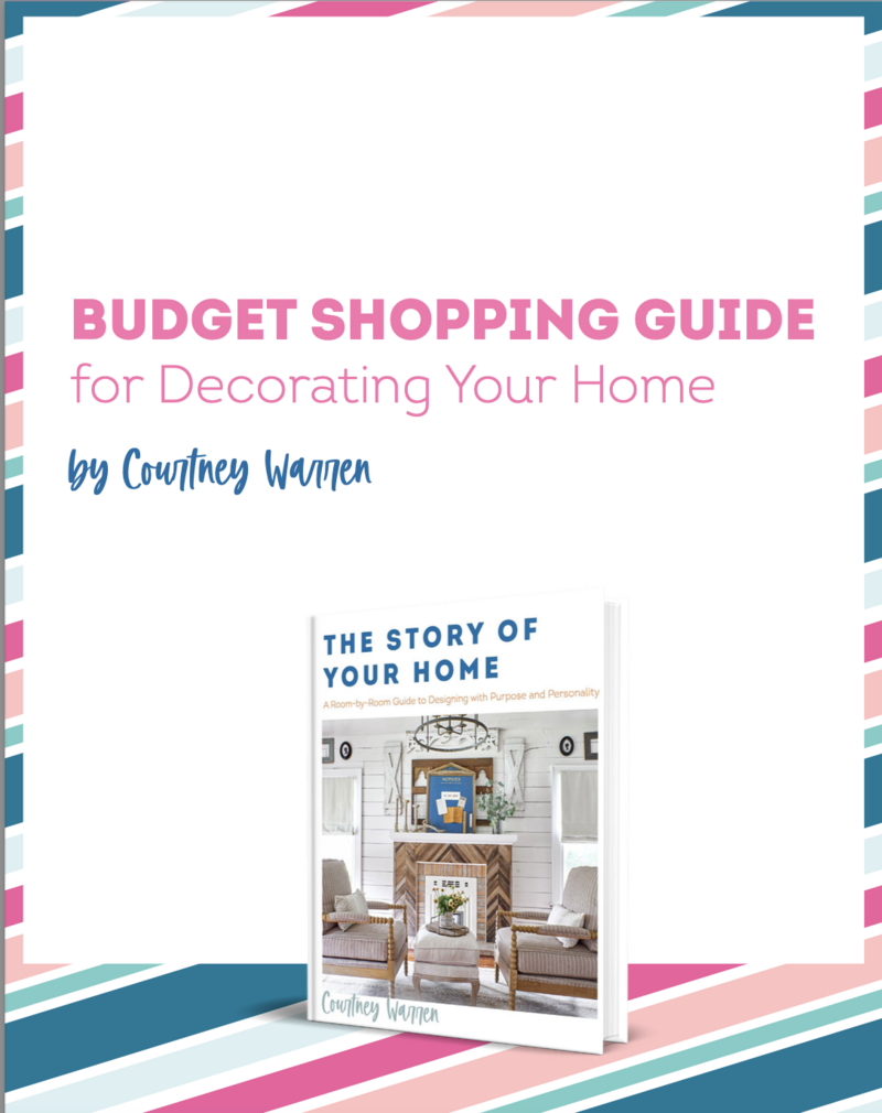 Budget Shopping Guide