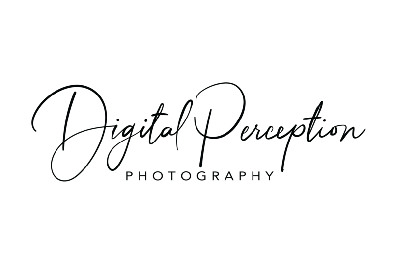Digital Perception Photography Logo