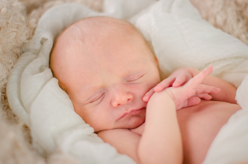 Charlotte North Carolina Newborn Photography Shoot