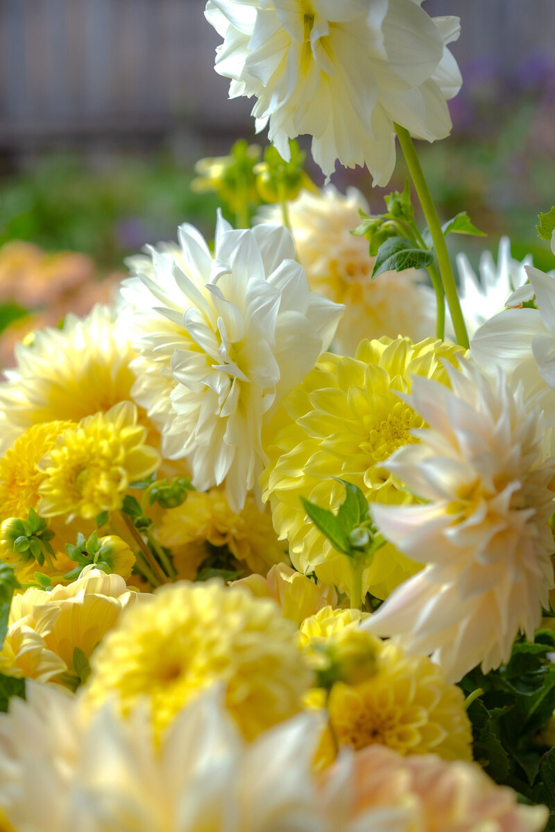 Estúdyo | Enquire now for flower packages available