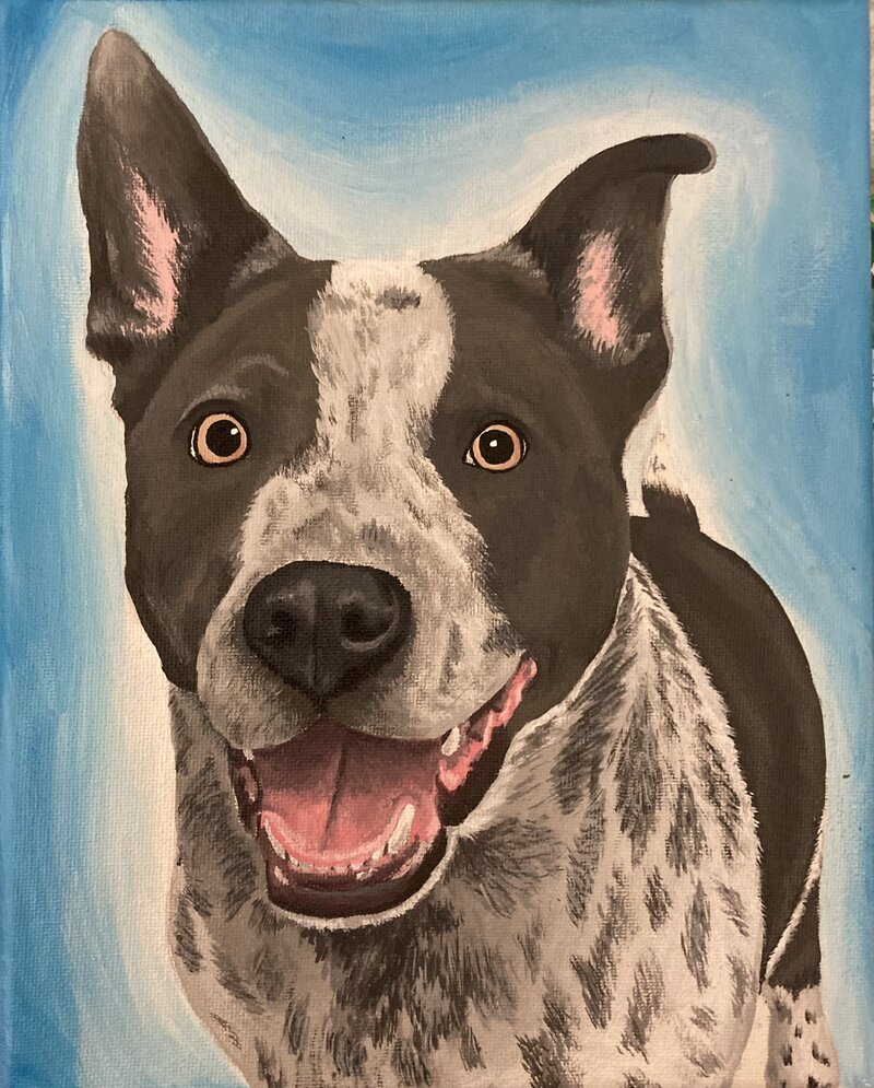 pet-portraits-commissions