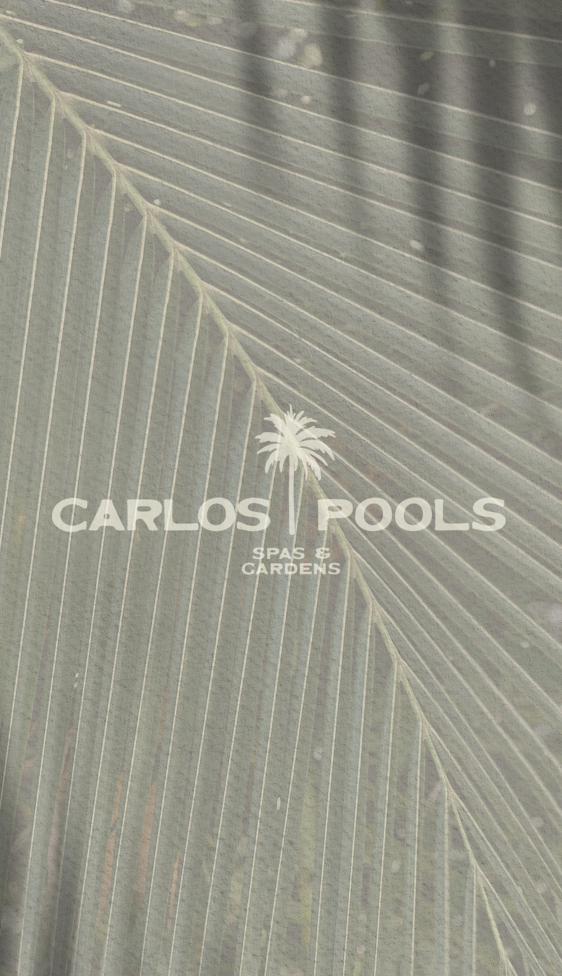 CARLOS POOLS & SPAS_ROEN CREATIVE STUDIO_BRAND BOOK12.15-28