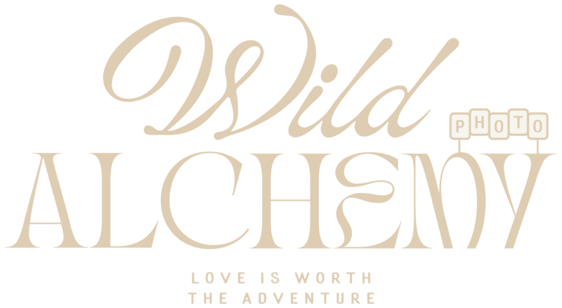 Wild Alchemy Logo