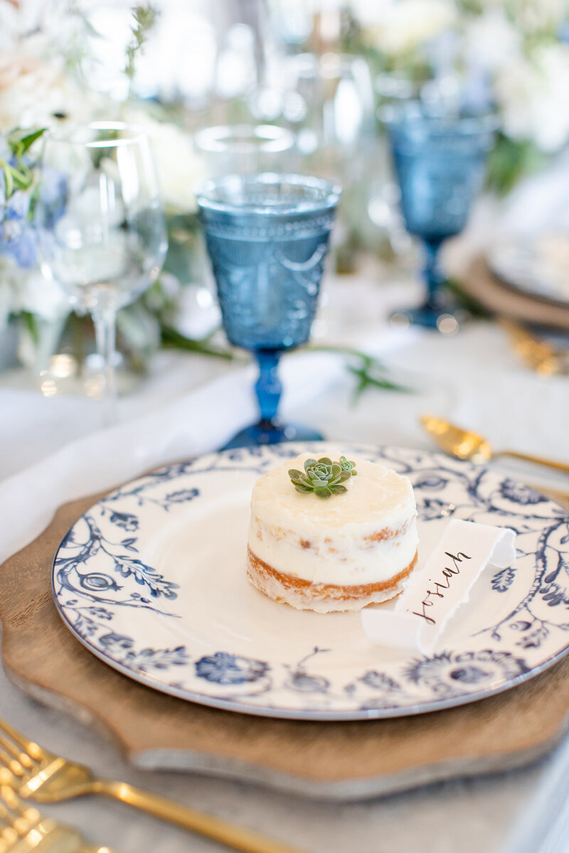 Hidden Hill Blue & Ivory_Katelyn Shelley Photography-1 (124)