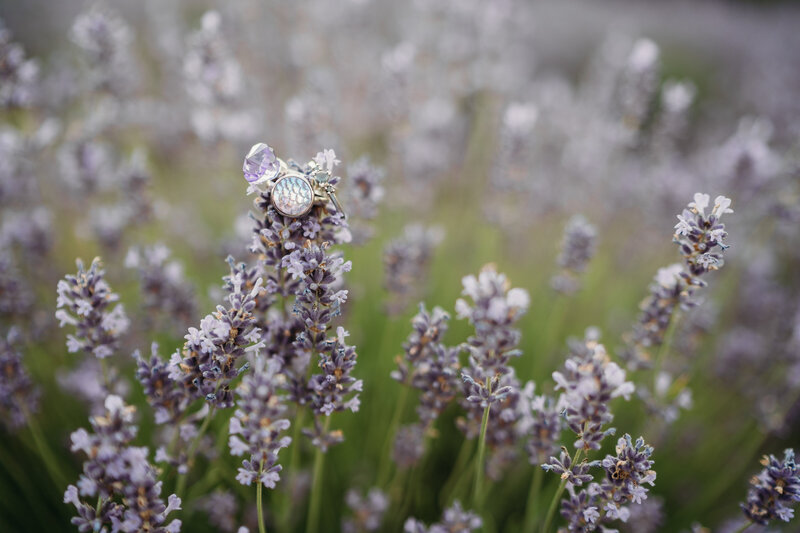 Boston_Elopement_Couples_Photographer-31