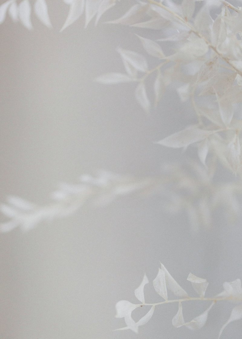 Tri-Main-Center-Buffalo-NY-wedding-planner-event-design-Wild-Blossom-Hollow-Shaw-Photography-17