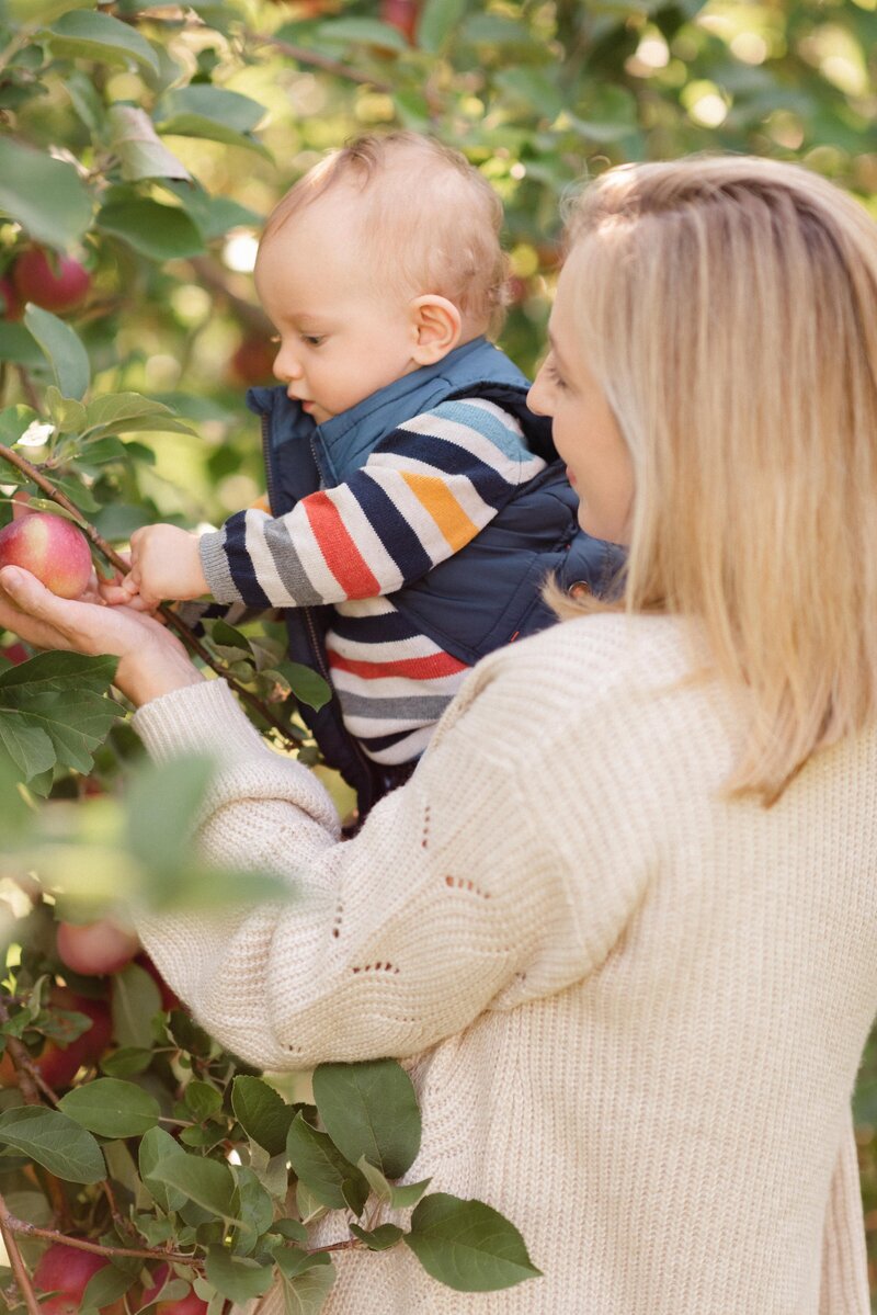 mother and son picking apples together by carrie pelleirn