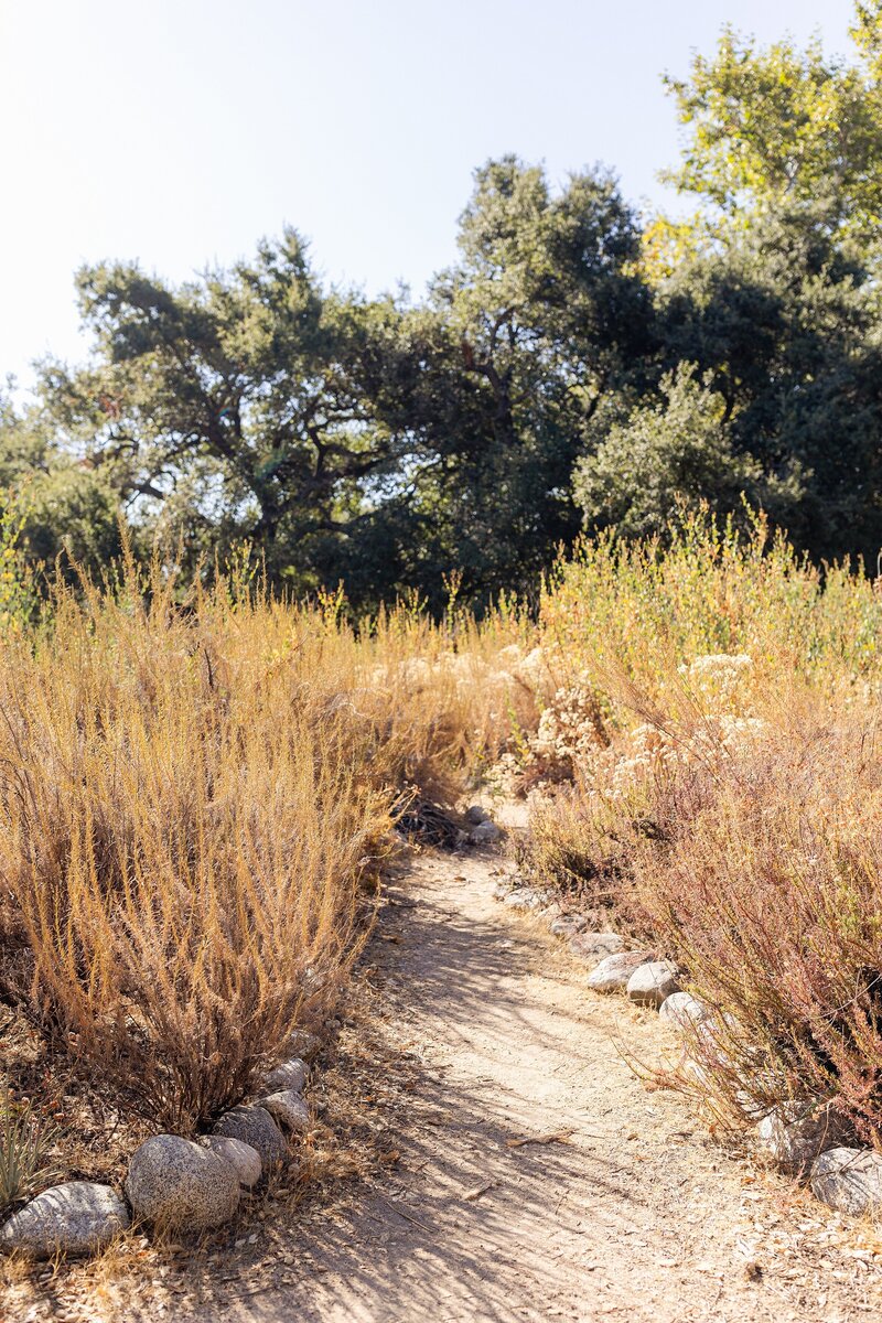 pasadena-outdoor-mini-session_0002