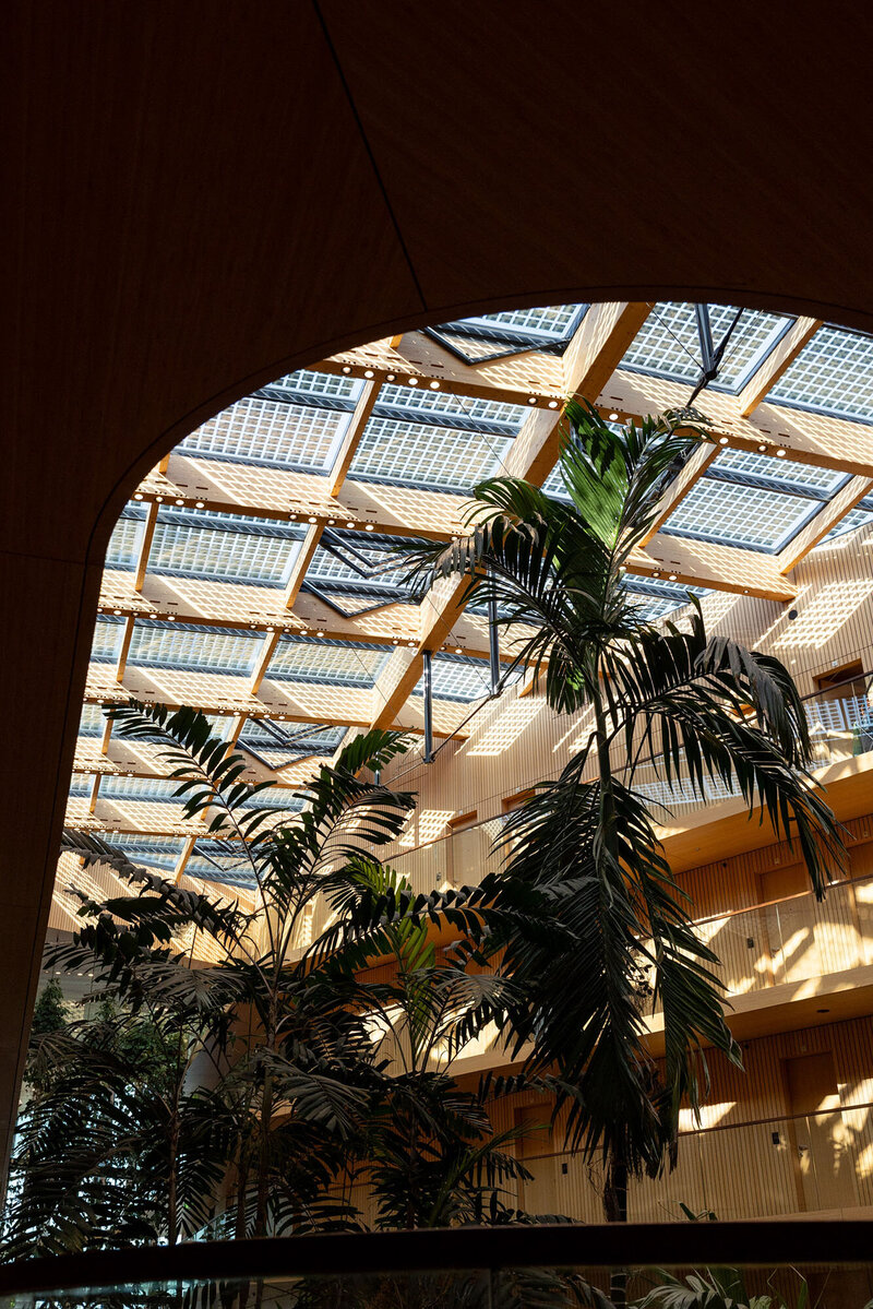 Licht en schaduw effect van unieke architectuur van groene werkomgeving Jakarta Hotel Amsterdam 