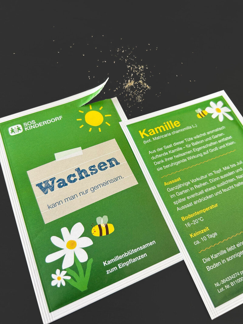 Detailaufnahme der Mailingbeigabe – aufgerissenes Kamillesamentütchen, Symbol für Wachstum und Hoffnung.