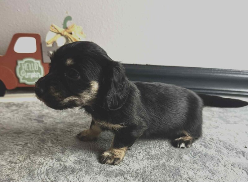 11c9ea7c-b17f-4134-bec5-8ff95d0c3bbe