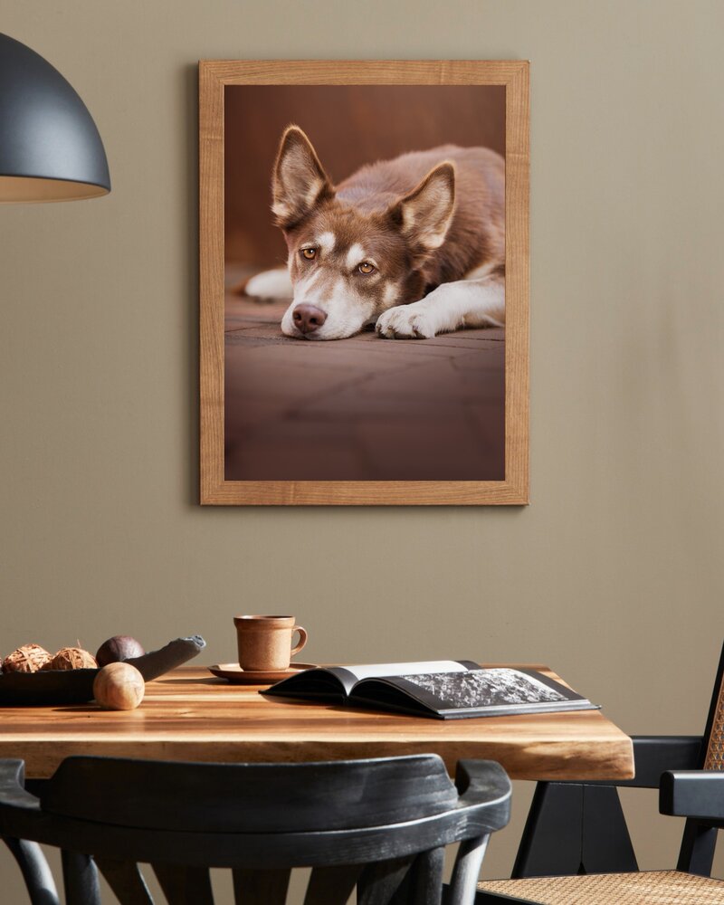 dog wall decor