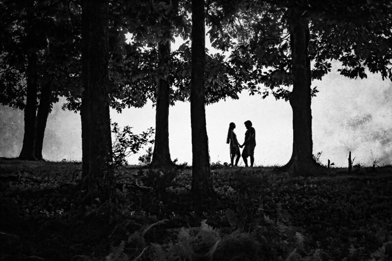 two people holding hands while standing between trees