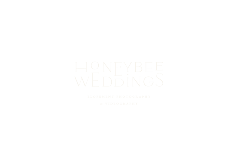 Honeybee Weddings_Primary _ Secondary Logos-12